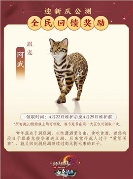 天龙八部私服血饮升级